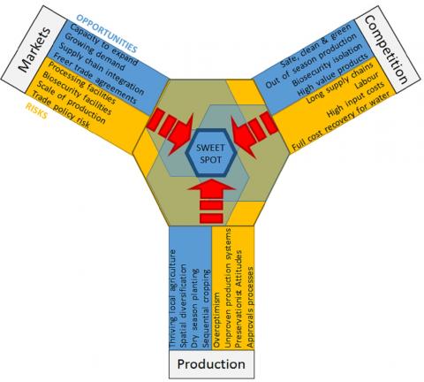 Investment sweet spot for insight 2 - diverse development pathways