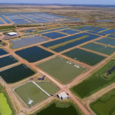 Aquaculture ponds, NT (CSIRO)